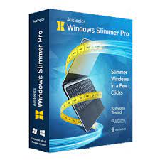 Auslogics Windows Slimmer Professional 3.2.0.1 Crack with License Key